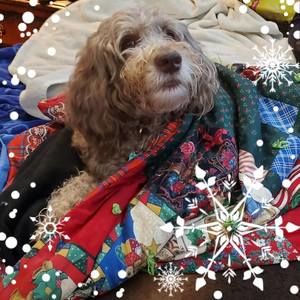 Meet your Posher, Sue